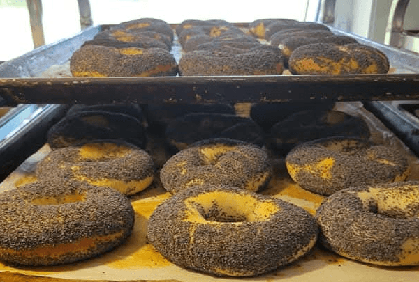Bagels Pavot