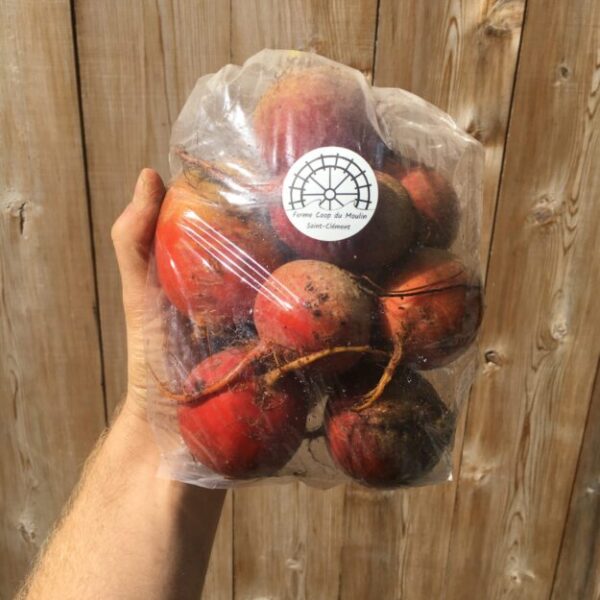 Betteraves 1kg - Bio