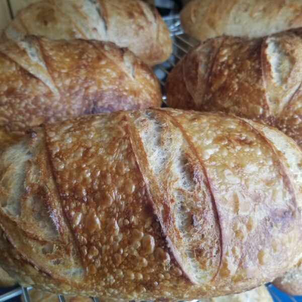 Miche blanche au levain
