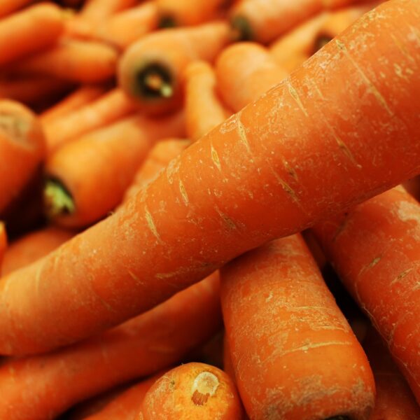 Carottes Bio - 5 lbs