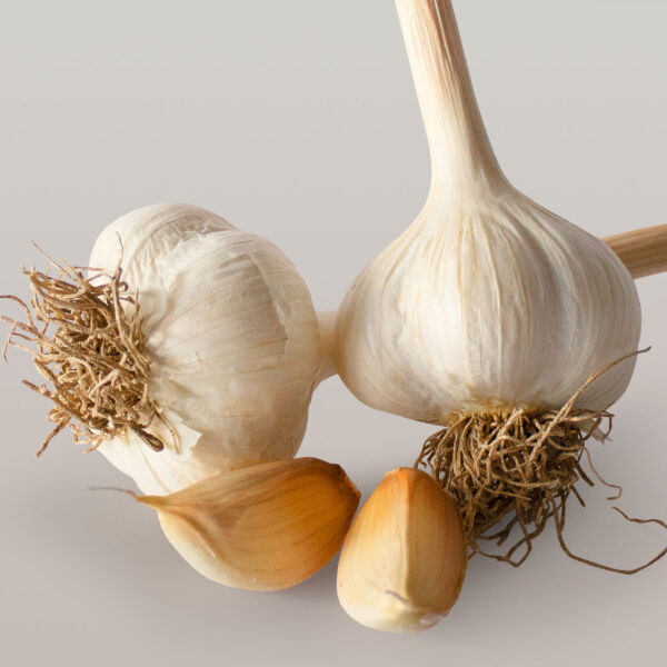 Ail Music - Bio - 115g