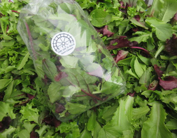 Mesclun de laitues - Bio