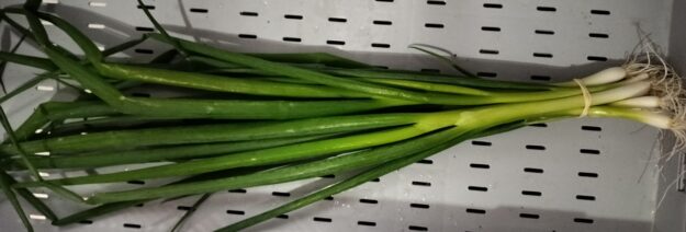 Oignon vert