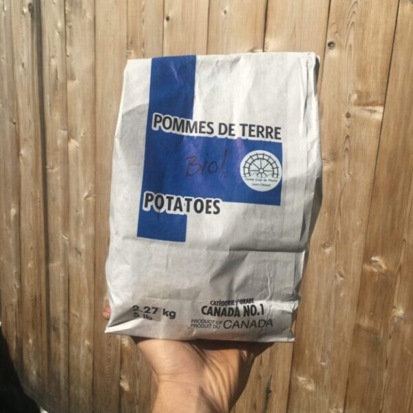 Patates 5 lbs - Bio